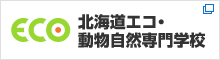 北海道エコ・動物自然専門学校
