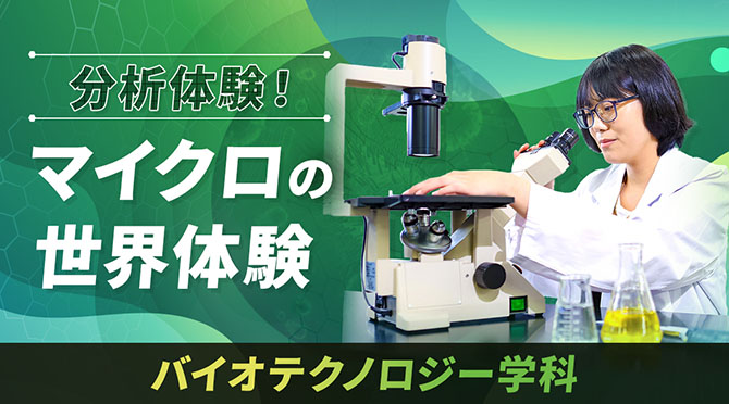 分析体験