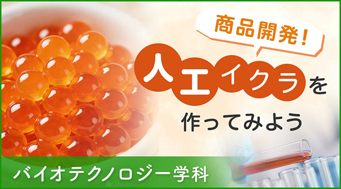 商品開発　人工いくらを作ってみよう