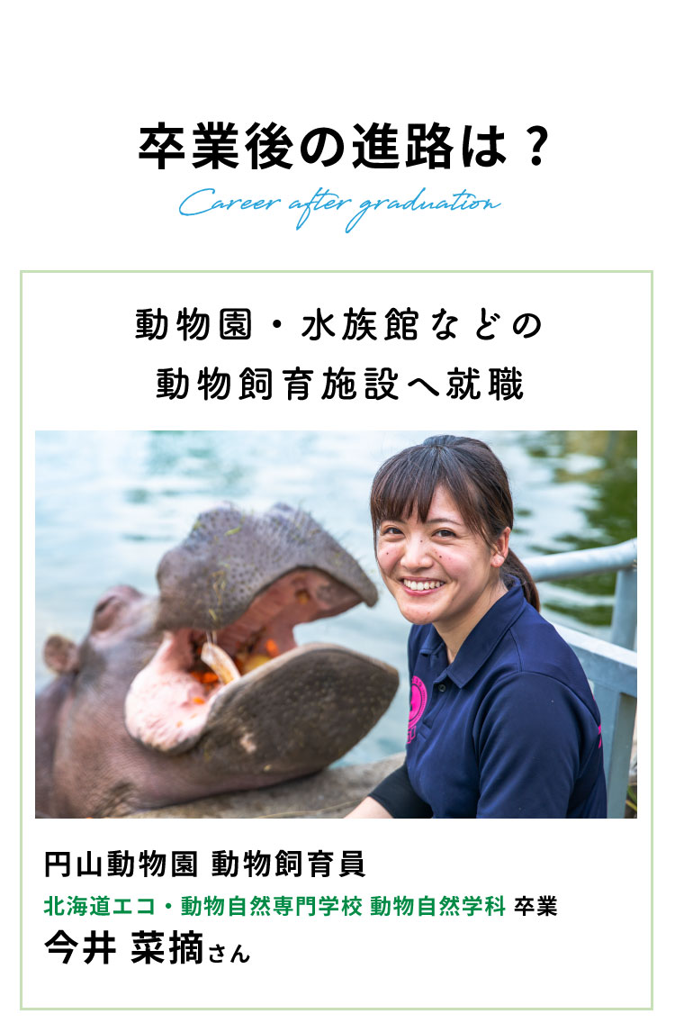 卒業後の進路は？ 動物園・水族館などの動物飼育施設へ就職 円山動物園動物飼育員 北海道エコ・動物自然専門学校 飼育自然学科卒業 今井菜摘さん