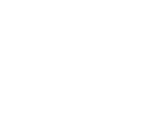 WHITE HACKER