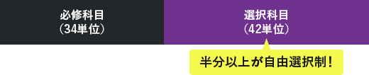 必修科目（34単位）選択科目（42単位）半分以上が自由選択制！