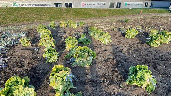 アグリ学内農園