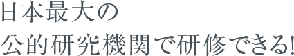 日本最大の公的研究機関で研修できる！