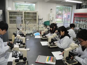 微生物観察実習BIO20160609-1